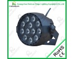 12PCS LED Par Light (Plastic)